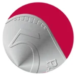 5 Paisa Logo - True Turtles Partner
